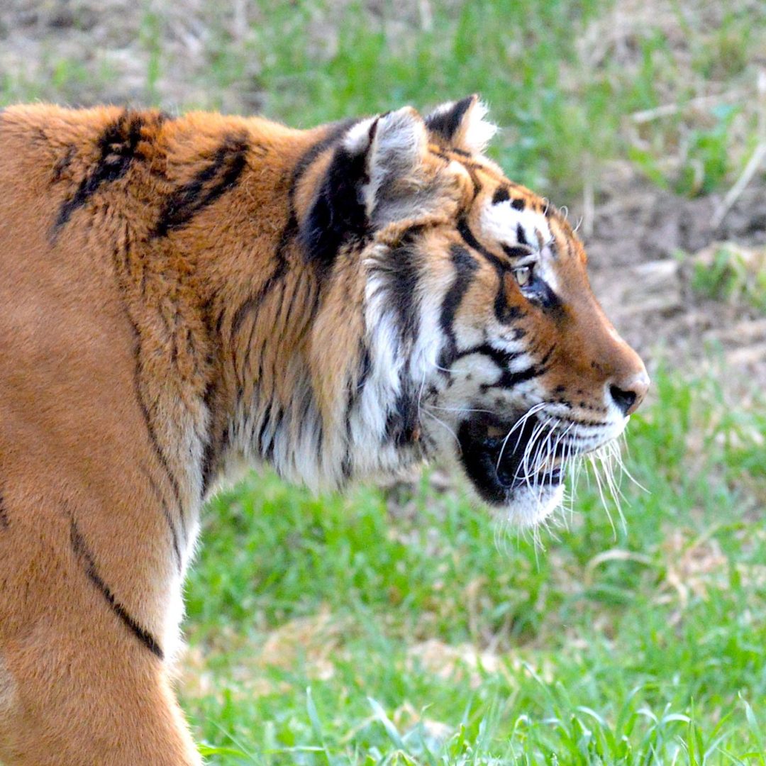 fdbf2e31-6b92-4ef0-9674-9a42152cc20e